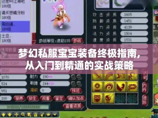 梦幻私服宝宝装备终极指南,从入门到精通的实战策略 梦幻私服宝宝装备终极指南,从入门到精通的实战策略