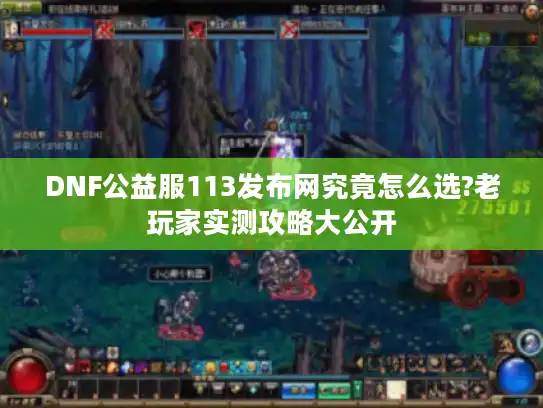 DNF公益服113发布网究竟怎么选?老玩家实测攻略大公开