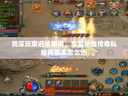资深玩家避坑指南，东莞热血传奇私服网版本怎么选