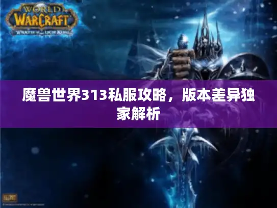 魔兽世界313私服攻略，版本差异独家解析