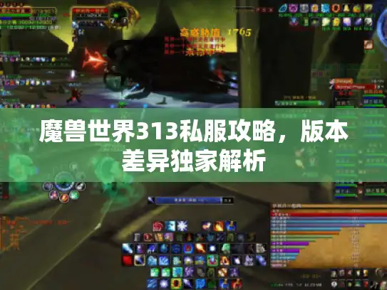魔兽世界313私服攻略，版本差异独家解析