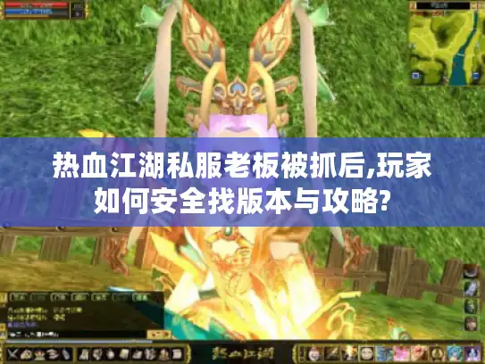 热血江湖私服老板被抓后,玩家如何安全找版本与攻略?