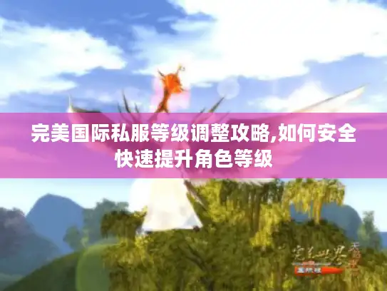 完美国际私服等级调整攻略,如何安全快速提升角色等级
