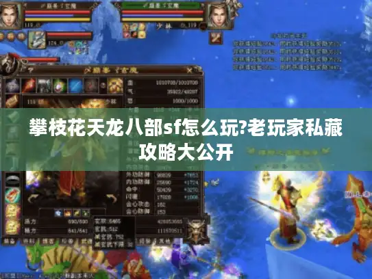 攀枝花天龙八部sf怎么玩?老玩家私藏攻略大公开