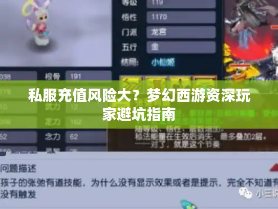 私服充值风险大?梦幻西游资深玩家避坑指南 私服充值风险大?梦幻西游资深玩家避坑指南