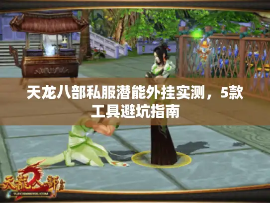 天龙八部私服潜能外挂实测，5款工具避坑指南