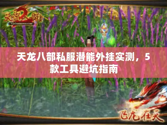 天龙八部私服潜能外挂实测，5款工具避坑指南