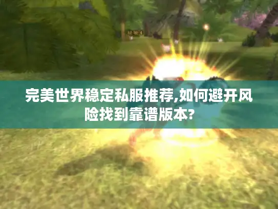 完美世界稳定私服推荐,如何避开风险找到靠谱版本?