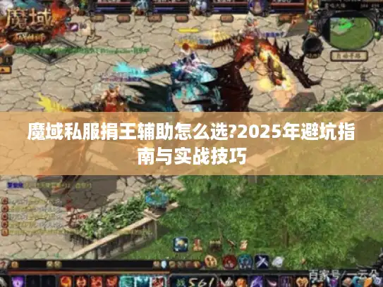 魔域私服捐王辅助怎么选?2025年避坑指南与实战技巧