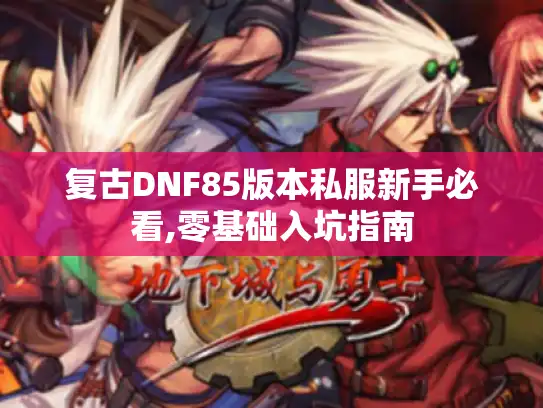 复古DNF85版本私服新手必看,零基础入坑指南