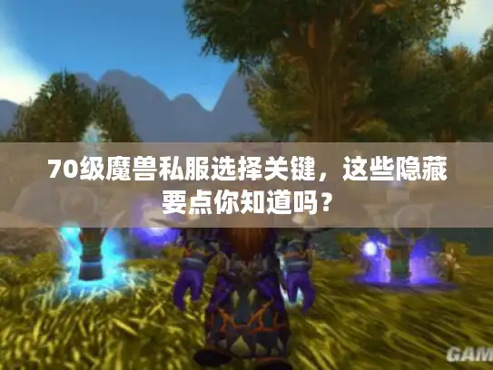 70级魔兽私服选择关键，这些隐藏要点你知道吗？