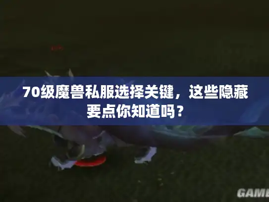 70级魔兽私服选择关键，这些隐藏要点你知道吗？