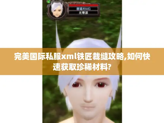 完美国际私服xml铁匠裁缝攻略,如何快速获取珍稀材料? 完美国际私服xml铁匠裁缝攻略,如何快速获取珍稀材料?