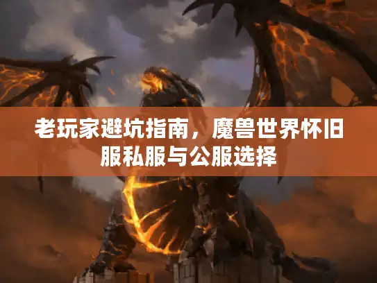 老玩家避坑指南，魔兽世界怀旧服私服与公服选择