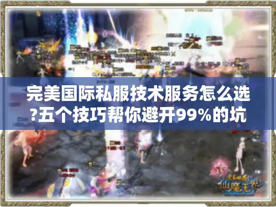 完美国际私服技术服务怎么选?五个技巧帮你避开99%的坑 完美国际私服技术服务怎么选?五个技巧帮你避开99%的坑