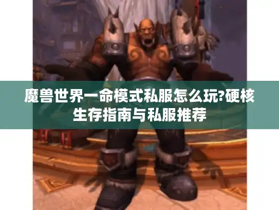 魔兽世界一命模式私服怎么玩?硬核生存指南与私服推荐