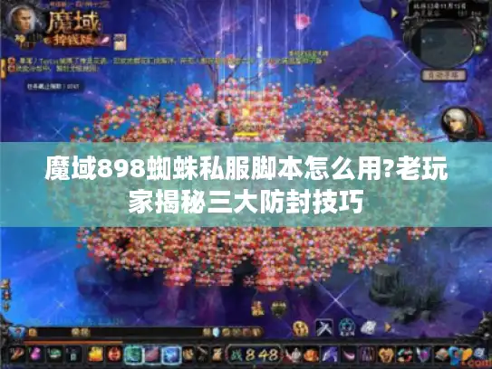 魔域898蜘蛛私服脚本怎么用?老玩家揭秘三大防封技巧