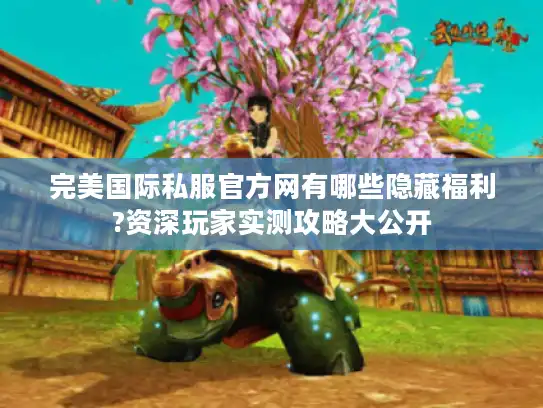 完美国际私服官方网有哪些隐藏福利?资深玩家实测攻略大公开