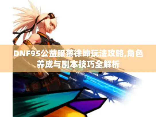 DNF95公益服蔡徐坤玩法攻略,角色养成与副本技巧全解析