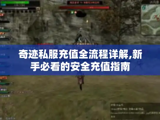 奇迹私服充值全流程详解,新手必看的安全充值指南