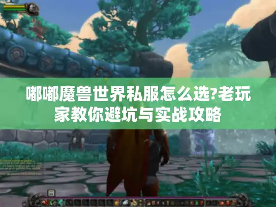 嘟嘟魔兽世界私服怎么选?老玩家教你避坑与实战攻略