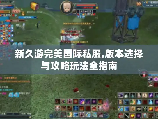 新久游完美国际私服,版本选择与攻略玩法全指南