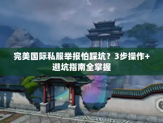 完美国际私服举报怕踩坑？3步操作+避坑指南全掌握