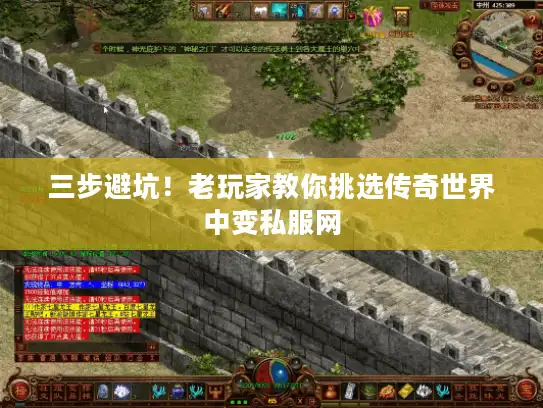 三步避坑！老玩家教你挑选传奇世界中变私服网