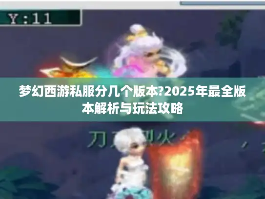 梦幻西游私服分几个版本?2025年最全版本解析与玩法攻略