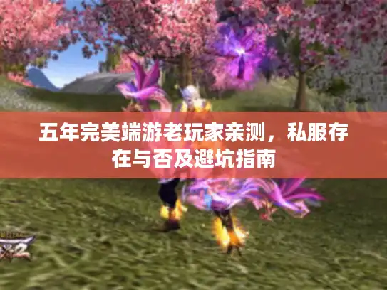 五年完美端游老玩家亲测，私服存在与否及避坑指南