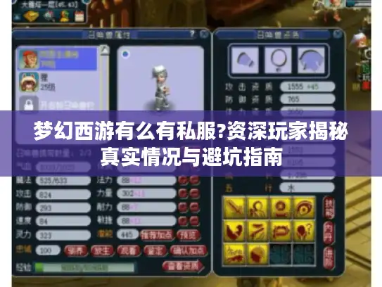 梦幻西游有么有私服?资深玩家揭秘真实情况与避坑指南
