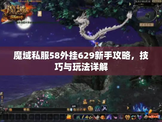 魔域私服58外挂629新手攻略，技巧与玩法详解