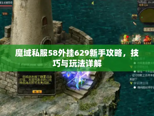 魔域私服58外挂629新手攻略，技巧与玩法详解