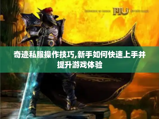奇迹私服操作技巧,新手如何快速上手并提升游戏体验