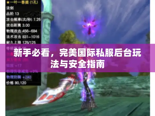 新手必看，完美国际私服后台玩法与安全指南