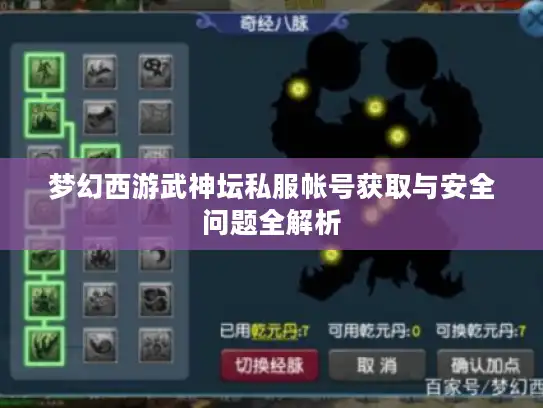 梦幻西游武神坛私服帐号获取与安全问题全解析