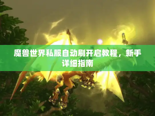 魔兽世界私服自动刷开启教程，新手详细指南
