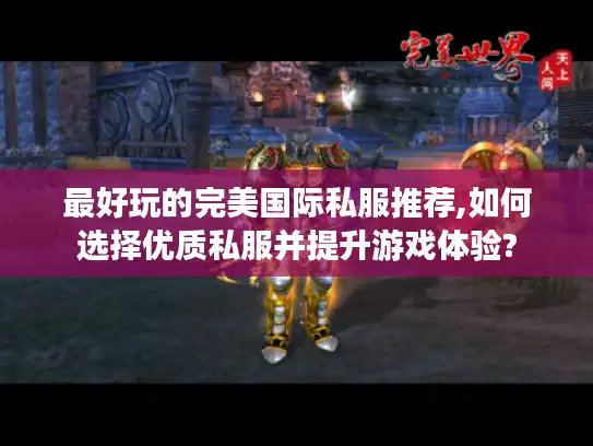 最好玩的完美国际私服推荐,如何选择优质私服并提升游戏体验?