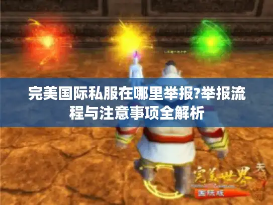 完美国际私服在哪里举报?举报流程与注意事项全解析