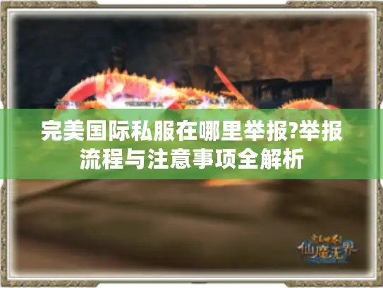 完美国际私服在哪里举报?举报流程与注意事项全解析