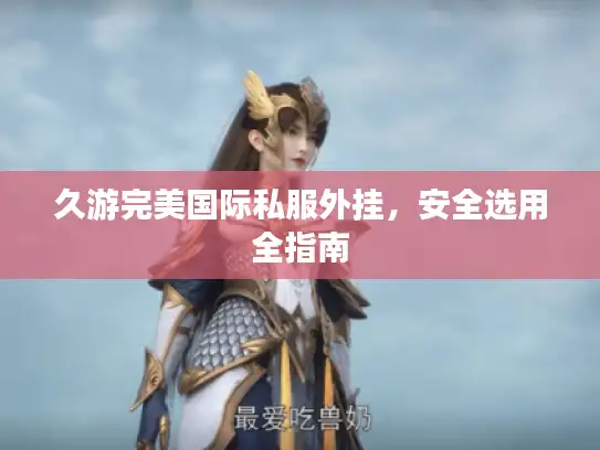 久游完美国际私服外挂，安全选用全指南