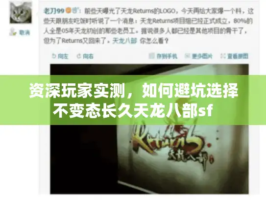 资深玩家实测，如何避坑选择不变态长久天龙八部sf