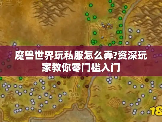 魔兽世界玩私服怎么弄?资深玩家教你零门槛入门