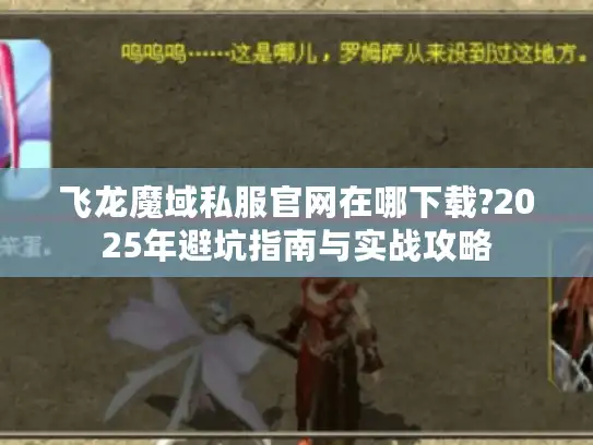 飞龙魔域私服官网在哪下载?2025年避坑指南与实战攻略