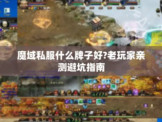魔域私服什么牌子好?老玩家亲测避坑指南