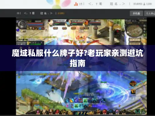 魔域私服什么牌子好?老玩家亲测避坑指南