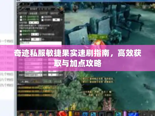 奇迹私服敏捷果实速刷指南，高效获取与加点攻略