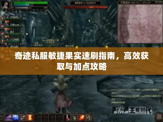 奇迹私服敏捷果实速刷指南，高效获取与加点攻略