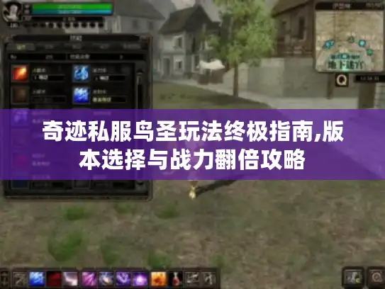 奇迹私服鸟圣玩法终极指南,版本选择与战力翻倍攻略