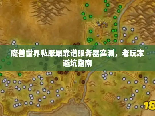 魔兽世界私服最靠谱服务器实测，老玩家避坑指南